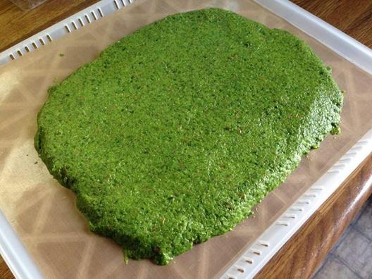 About to go into my Sedona dehydrator. I'm very curious. :) flax seeds shredded and not shredded, a lot of spinach and a lot of Chinese cabbage, some fennel, some Italian herbs, a tiny bit of onion, garlic and chili.