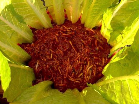 Grated zucchini in a sauce of plums, dates and celery, garnished with roman lettuce! Perfect! ❤