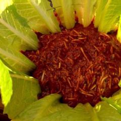 Grated zucchini in a sauce of plums, dates and celery, garnished with roman lettuce! Perfect! ❤