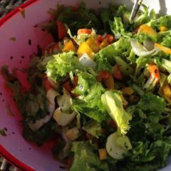 Hearty and crunchy salad - lettuce, chicory, carrots, yellow pepper, cucumber, avocado, lemon, basil and chives