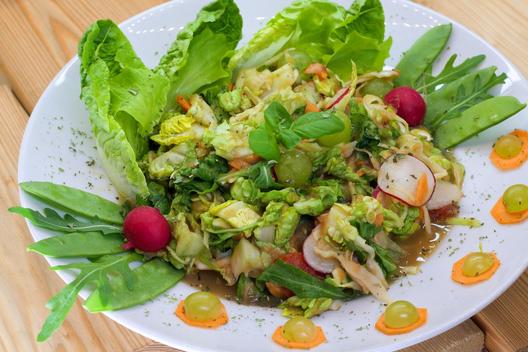 Apfel - Trauben - Salat mit Basilikum