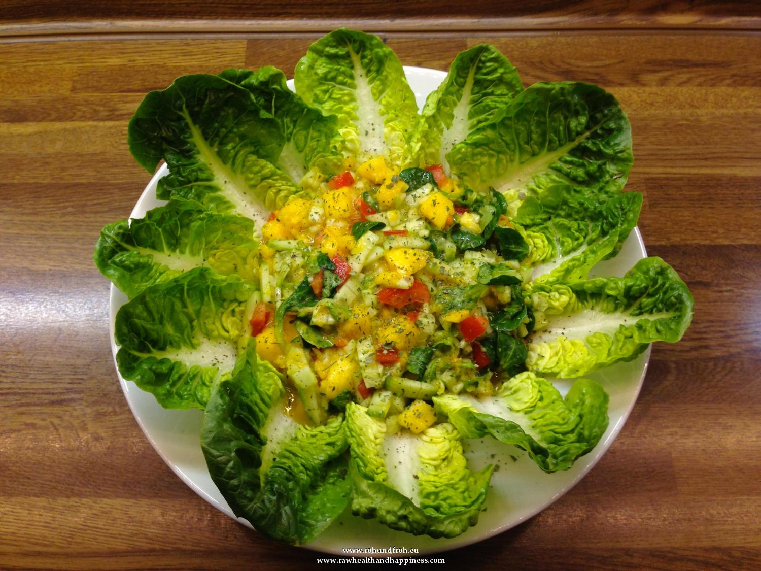 Gemischter - Mango - Salat / Rohkost Gerichte - Roh Und Froh