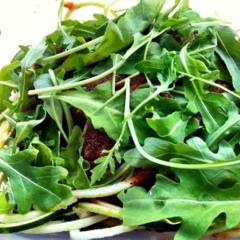 Lunchbox - zucchini spaghetti with tomato, pepper, basil sauce and arugula <3