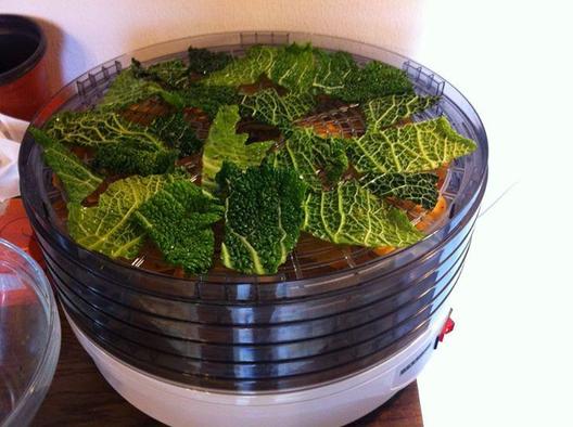 Sweet potatoes and kale chips in the dehydrator. Yummy. ^_^