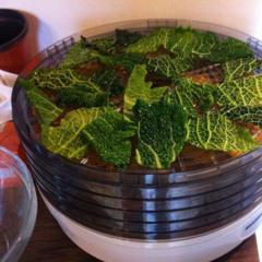 Sweet potatoes and kale chips in the dehydrator. Yummy. ^_^