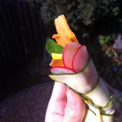 Zucchini, corn salad, radish, butternut, carrot spring roll